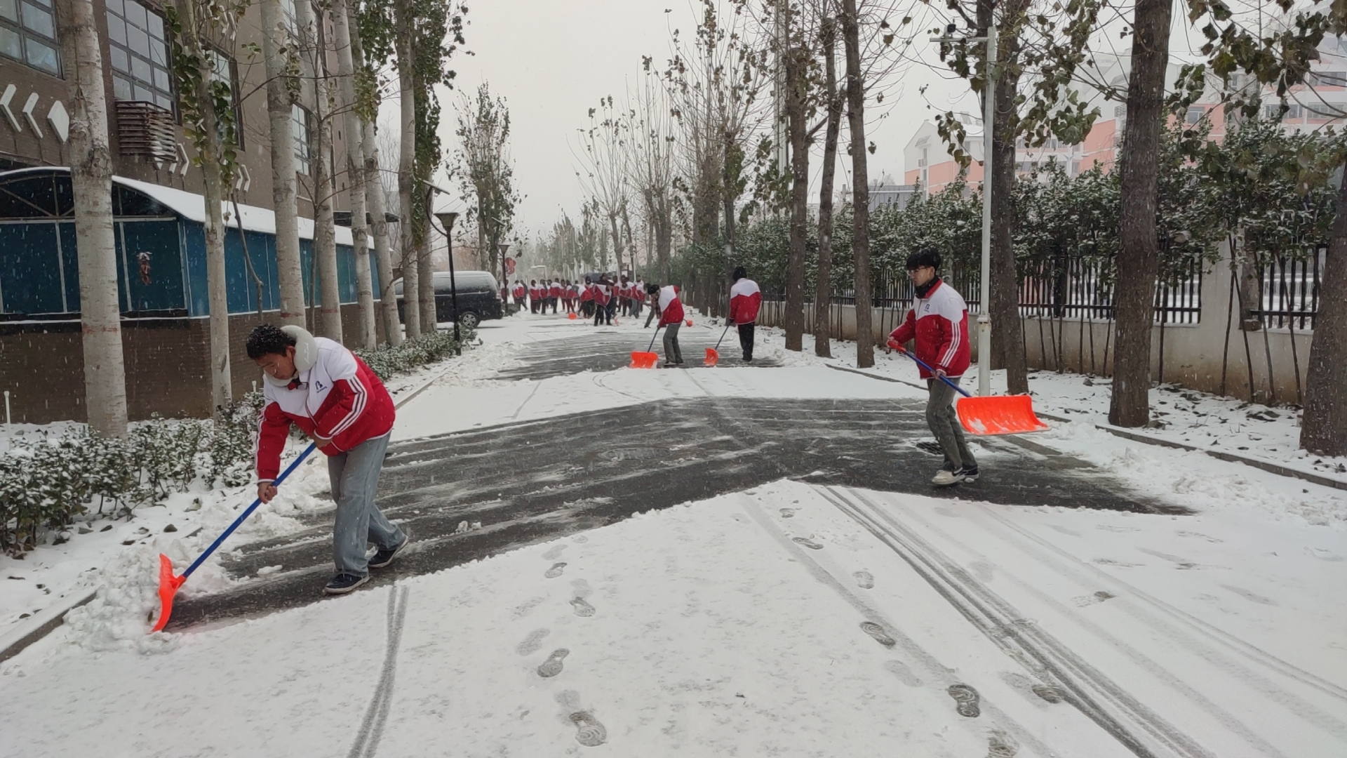 扫雪除冰