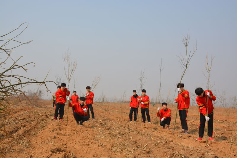 邯郸北方学校学生参加植树